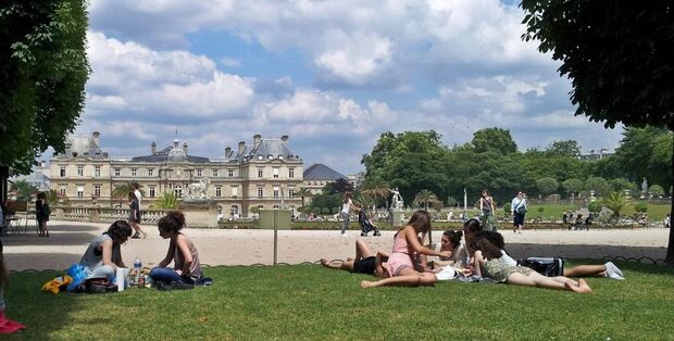 Les espaces verts en ville: un catalyseur des pratiques écologiques ?