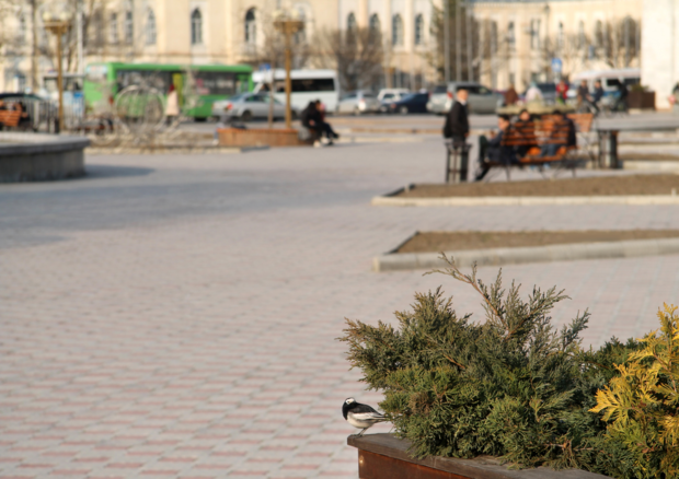 Penser en animal pour aménager la ville