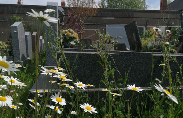 Quand les vivants s’emparent du cimetière