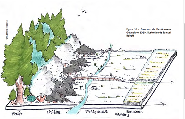 Renaturation d'une plateforme logistique le long de la nationale N7, dans le Gâtinais, selon les principes d'agroforesterie © Samuel Rabaté