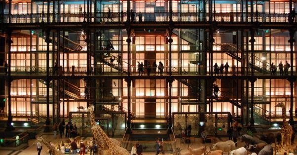 La grande galerie de l’Évolution du Muséum d’histoire naturelle © Jeremy Zilar