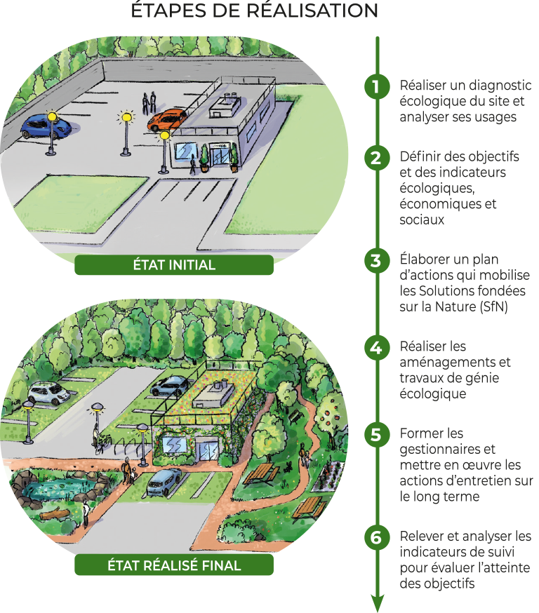 Transformation d'un espace vert - CDC Biodiversité