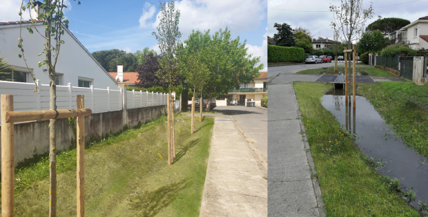 Noues créées dans le quartier Renoir à Portet-sur-Garonne, avant et après un orage (Conception ATM)