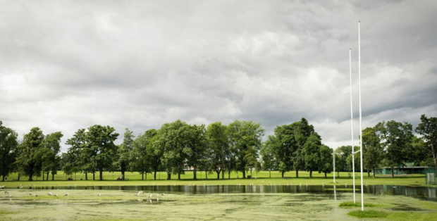 Crédits : georgeclerk sur Getty Images Signature